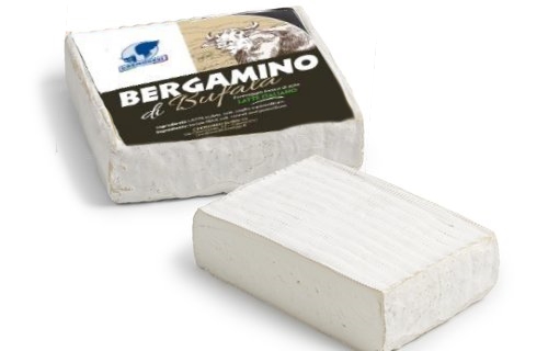 Bergamino di bufala