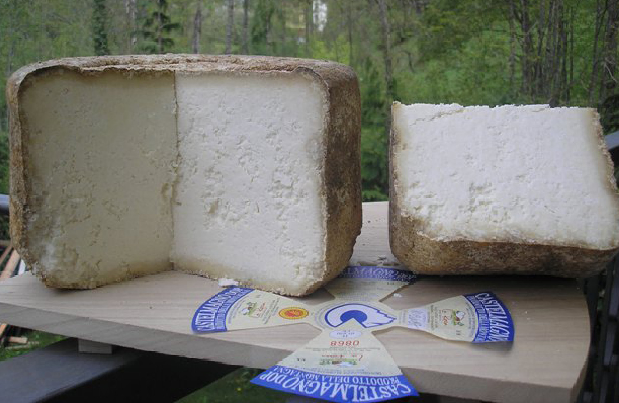 Castelmagno DOP